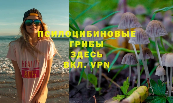 МДПВ Горняк